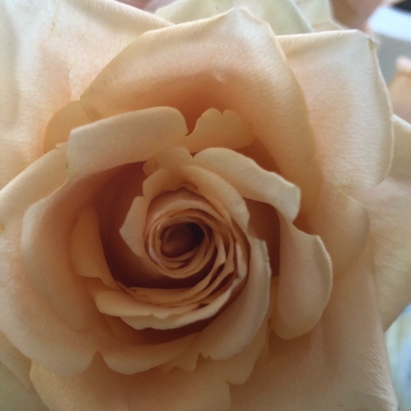 Meet your Posher, Cheryl - Picture 2 of 2